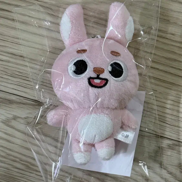 [BUNJANG] Day6 Denimals Baekcham Wonpil Item / (미개봉 새 상품) 데이식스 일본 MD 데니멀즈 백참 필 원필 day6