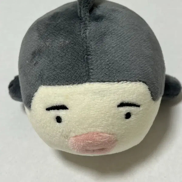 [BUNJANG] Slam Dunk Lee Myeongheon Pyong-eo Doll, Keyring, Photo Set Bundle / 슬램덩크 이명헌 뿅어 굿즈(인형, 키링, 증사) 일괄