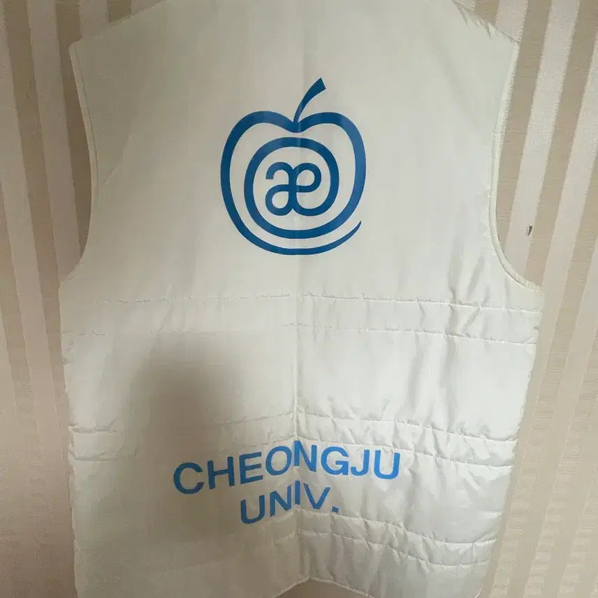 [BUNJANG] Cheongju University Football Team Player Issue Appeline Vest Padded Jacket / 청주대 축구부 선수지급용 조끼패딩 애플라인드