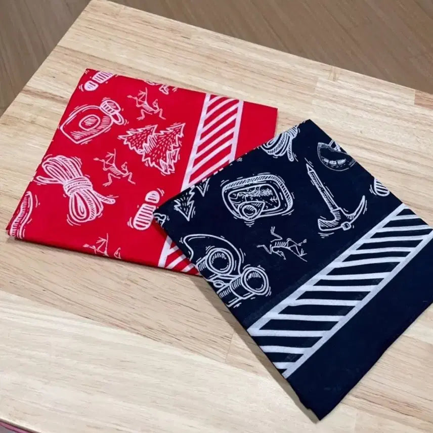 [BUNJANG] Arc'teryx Bandana/Scarf / [아크테릭스 스카프] 손수건 반다나