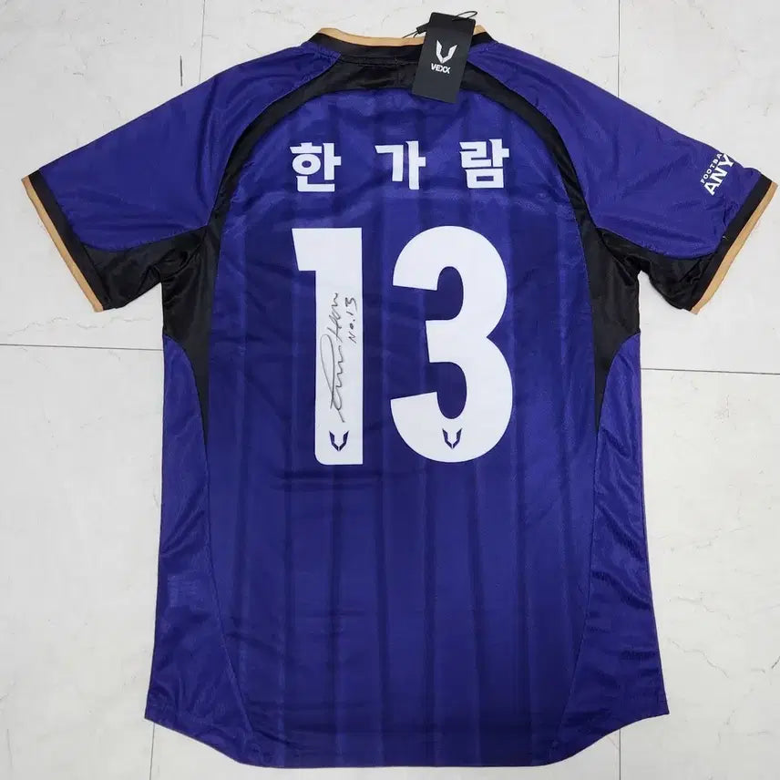 [BUNJANG] FC Anyang Han Garam Autographed 19th Player Uniform L / FC안양 한가람,19인 싸인 유니폼 (반택,직거래 가능)