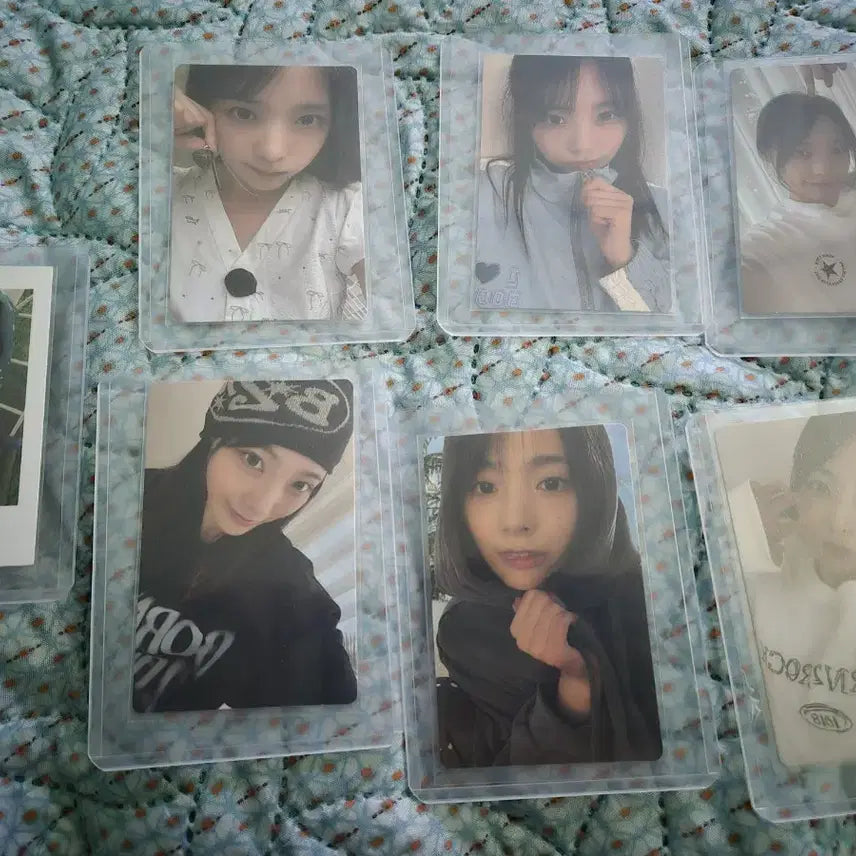 [BUNJANG] QWER Pop-up Exhibition Apparel Photocard Bundle Set / qwer 팝업 시연 의류 포카 일괄 판매(개별 X)