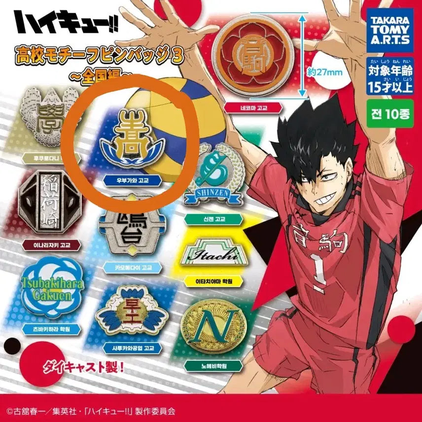 [BUNJANG] Haikyu Ubugawa High School Motif Pin Badge Vol. 3 / 하이큐 고등학교 모티브 핀 뱃지 3탄 우부가와 고교