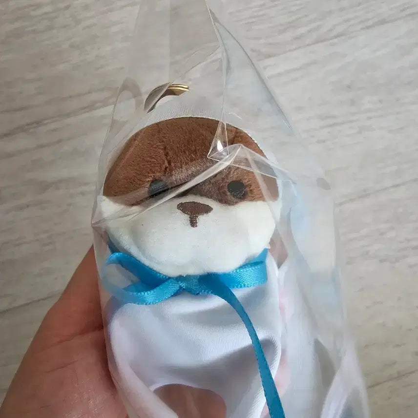 [BUNJANG] Otter Teruteru Bozu Doll Keyring / 수달 테루테루보즈 인형 키링 새제품