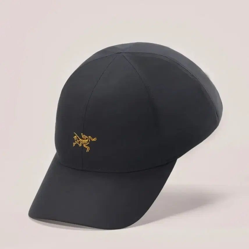 [BUNJANG] Arc'teryx Small Bird Ball Cap / 아크테릭스 스몰버드 볼캡