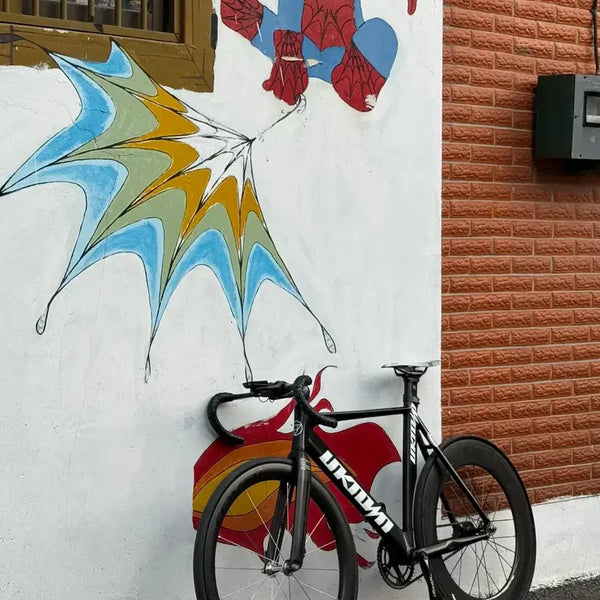 [BUNJANG] Unknown Singularity 2 Model Road Bike / 언노운 싱귤러리티2 2025년식 반차 판매