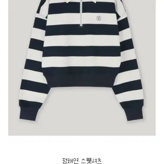 [BUNJANG] Aserr Stripe Cropped Sweatshirt / 아쎄르 스트라이프 크롭 스웻셔츠