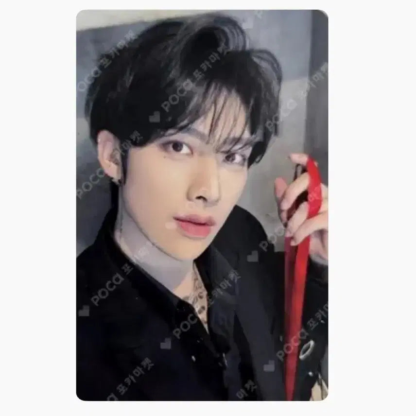 [BUNJANG] ZB1 Ricky Music & Drama POB Unsealed Album Bundle Set / 앤더블 제베원 리키 뮤직앤드라마 미공포 개봉앨범 일괄양도