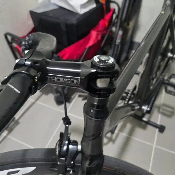 [BUNJANG] Thompson Stem / 탐슨 스템