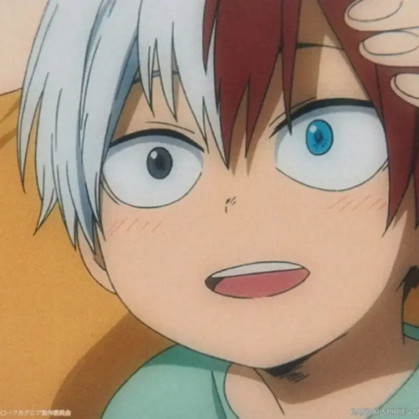 [BUNJANG] My Hero Academia Connecting Hearts Ichiban Kuji H Prize Shoto Illustration Board (Sealed) / (미개봉) 나의 히어로 아카데미아 이어지는 마음 제일복권 H상 쇼토