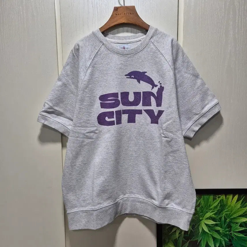 [BUNJANG] SUN CITY Short Sleeve Sweatshirt T-Shirt Grey / (세일)(새상품)썬시티 반팔 맨투맨 티셔츠 회색