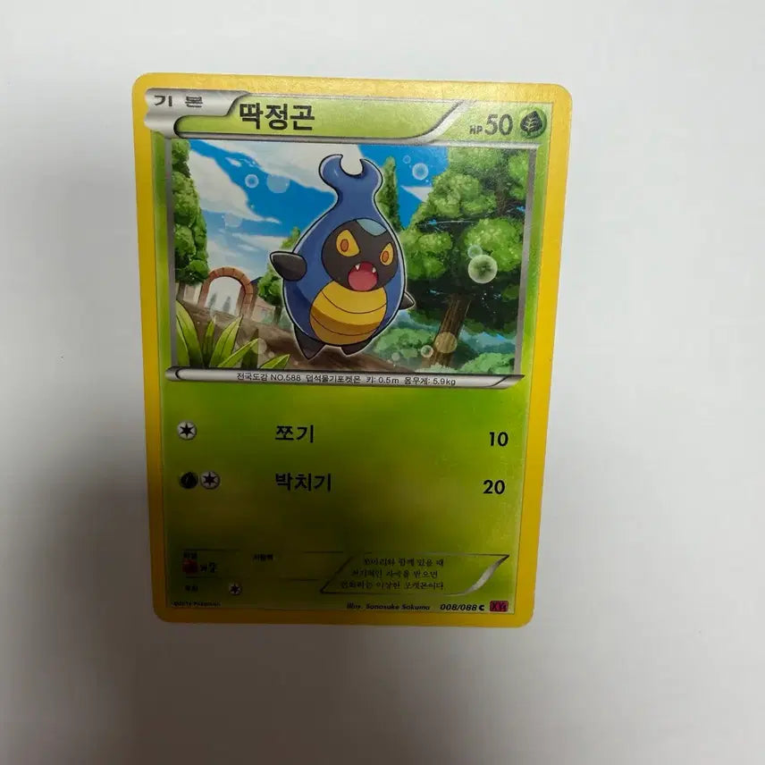 [BUNJANG] Pokemon Card Beetle / 딱정곤 포켓몬카드