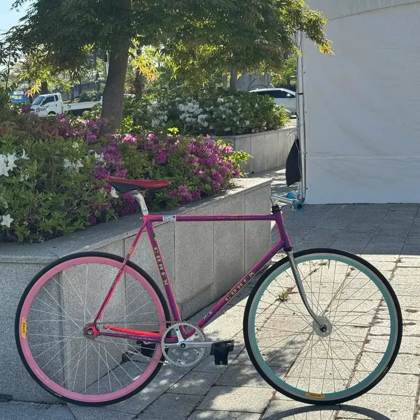 [BUNJANG] Corex President Pixie Road Bike Frame Set Size 55 / 코렉스 프레지던트 픽시 반차 급처