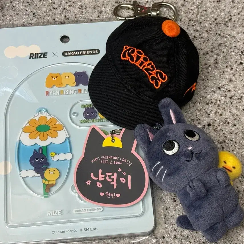 [BUNJANG] RIIZE Wonbin 10cm Cat Plush Set / 라이즈 원빈 동글동글 이쁜 토냥덕 10cm 팝니다 (키링도 드려용)
