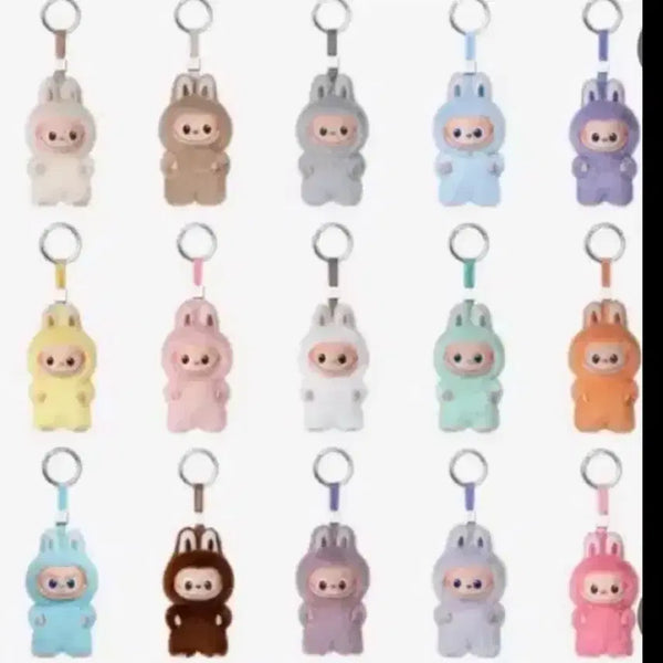 [BUNJANG] Pop Mart Labubu "Secret Password in My Heart" Mini Keychain (Unsealed) / 팝마트 미니 라부부 내마음속 비밀번호 단순개봉(s,j)