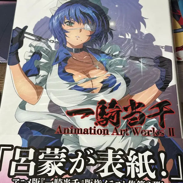 [BUNJANG] Ikkitousen Animation Artworks Vol. 1 & 2 Bundle / 일기당천 애니메이션 아트웍스 1, 2권 일괄 판매