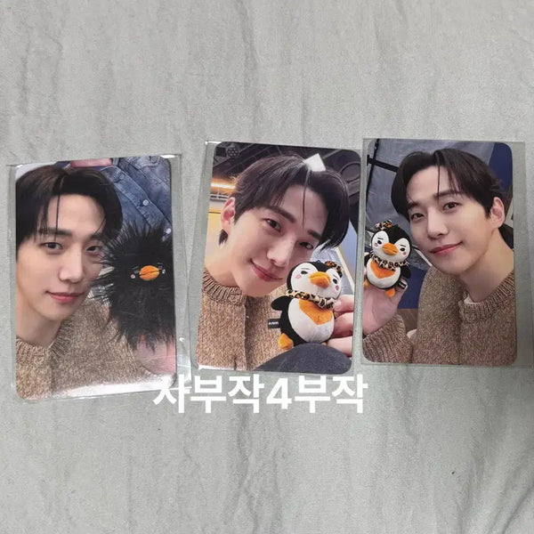 [BUNJANG] 2PM Lee Junho PengPeng Pop-up POB Photocard Bundle Set / 2pm 이준호 펭펭이 팝업 온라인 특전 포토카드 미개봉 일괄 바야바