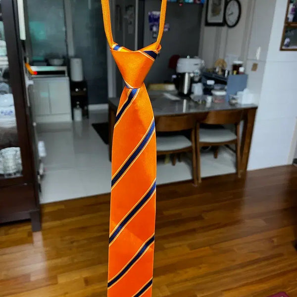 [BUNJANG] Daeil Tourism High School Uniform Tie / 대일관광고 교복 넥타이