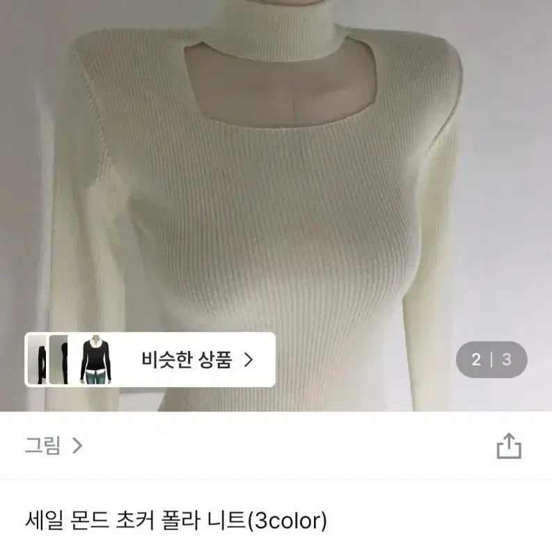 [BUNJANG] Choker Neck Ribbed Knit Sweater / 초커넥 폴라 니트