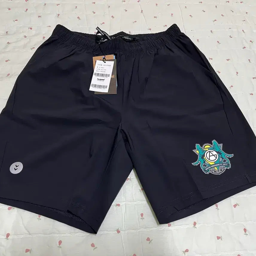 [BUNJANG] Hummel Ansan FC Soccer Shorts - Black, 2XL (105) / 험멜 반바지