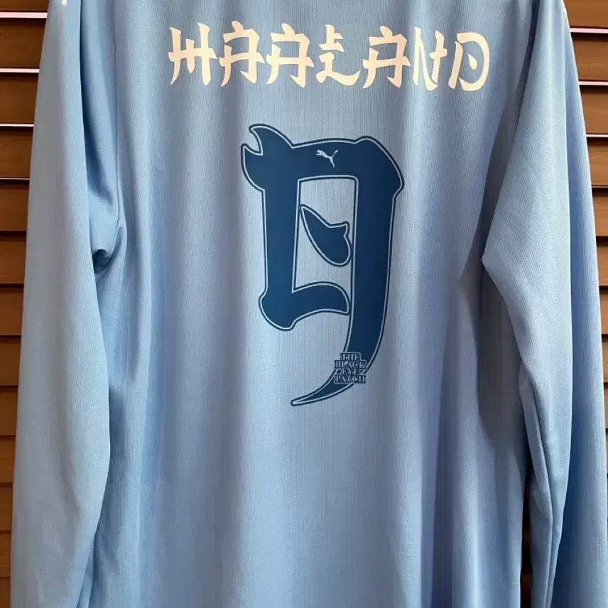 [BUNJANG] 2023-24 Manchester City Haaland Long Sleeve Jersey Japan Tour / 23-24 맨시티 홀란드 유니폼 긴팔 일본투어 마킹