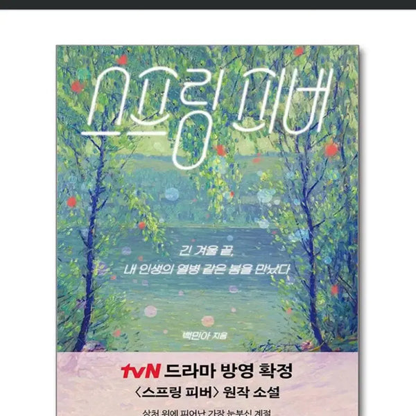 [BUNJANG] Spring Fever Original Novel / 스프링 피버 원작 소설 책