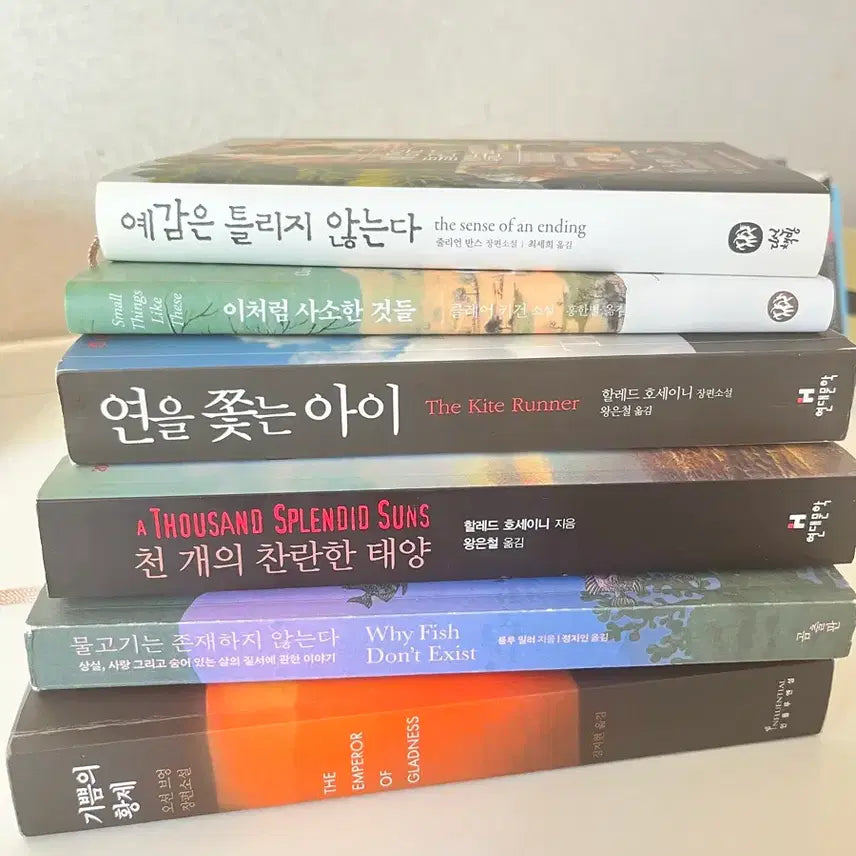 [BUNJANG] 다양한 책 6권 판매 (연을 쫒는 아이 외) / 다양한 책 6권 판매 (연을 쫒는 아이 외)
