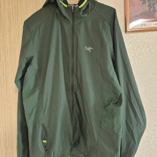 [BUNJANG] Arc'teryx Green Hooded Windbreaker Jacket / 아크테릭스 그린 바람막이 후드 자켓
