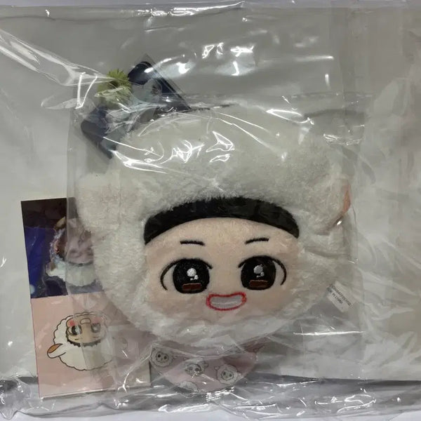 [BUNJANG] BTS V Kim Taehyung Doll Wallet Unsealed / 방탄소년단 뷔 김태형 인형 지갑 비공굿