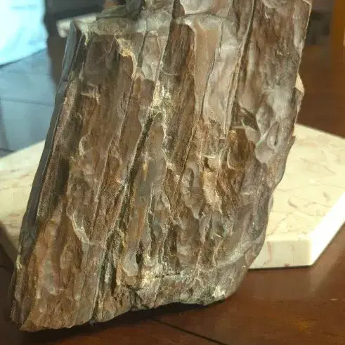 [BUNJANG] 1.45kg Petrified Wood Fossil / 1.45kg 규화목 화석
