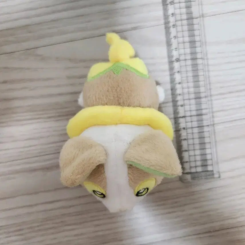 [BUNJANG] Banpresto Pokemon Pawmi Plush / 포켓몬스터 반프레스토 멍파치 봉제인형 강아지