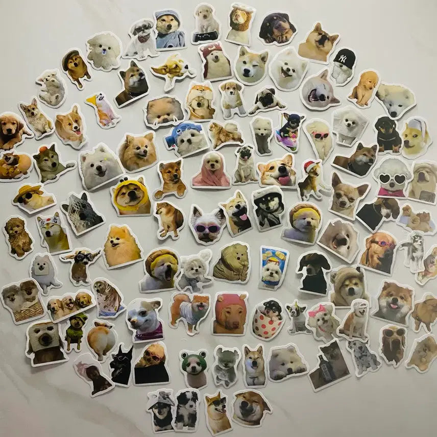 [BUNJANG] 100 Dog Stickers Set / 강아지 스티커 모음 100개