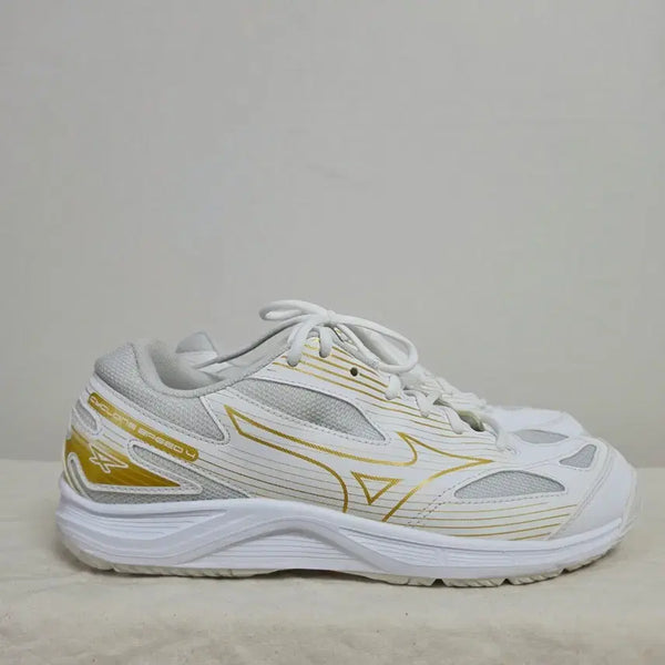 [BUNJANG] Mizuno Cyclone Speed 4 Cycling Shoes Size 280 / 280미즈노 사이클론 스피드4  -837