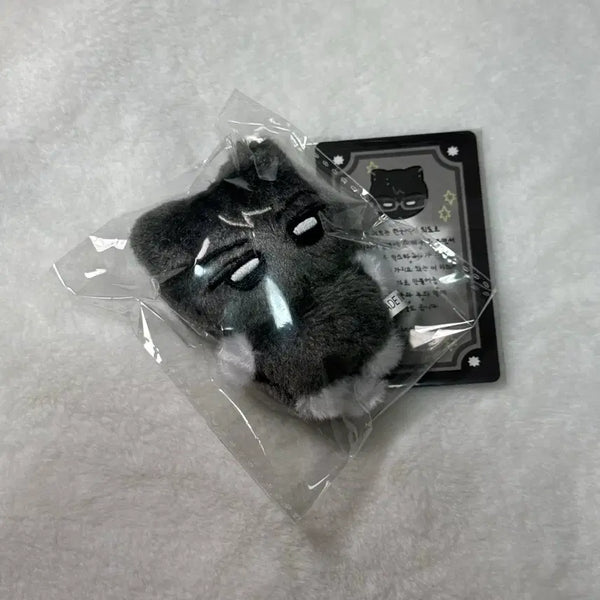 [BUNJANG] ENHYPEN Jay Jeongwon JAY Sung hoon Sunoo Ni-ki (Sealed) Plush Doll / 냥쫑군 미개봉 엔하이픈 제이 인형 정원 종성 제이크 성훈 선우 니키