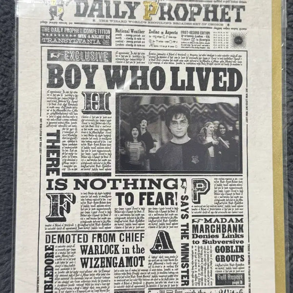[BUNJANG] Harry Potter Daily Prophet 3D Lenticular Newspaper / 해리포터 예언자 일보 신문 3d 입체 해리포터 스튜디오 영국