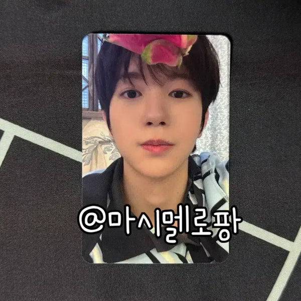 [BUNJANG] NCT WISH Odd to Love Apple Music POB Ryo Photocard / 엔시티위시 오드투러브 애플뮤직 특전 료 포카 포토카드 nct wish