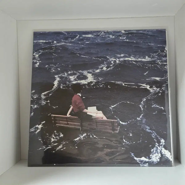 [BUNJANG] Saeyoon Seon 'Non-Adaptation' LP (Sealed) / 새소년 비적응 LP (미개봉)