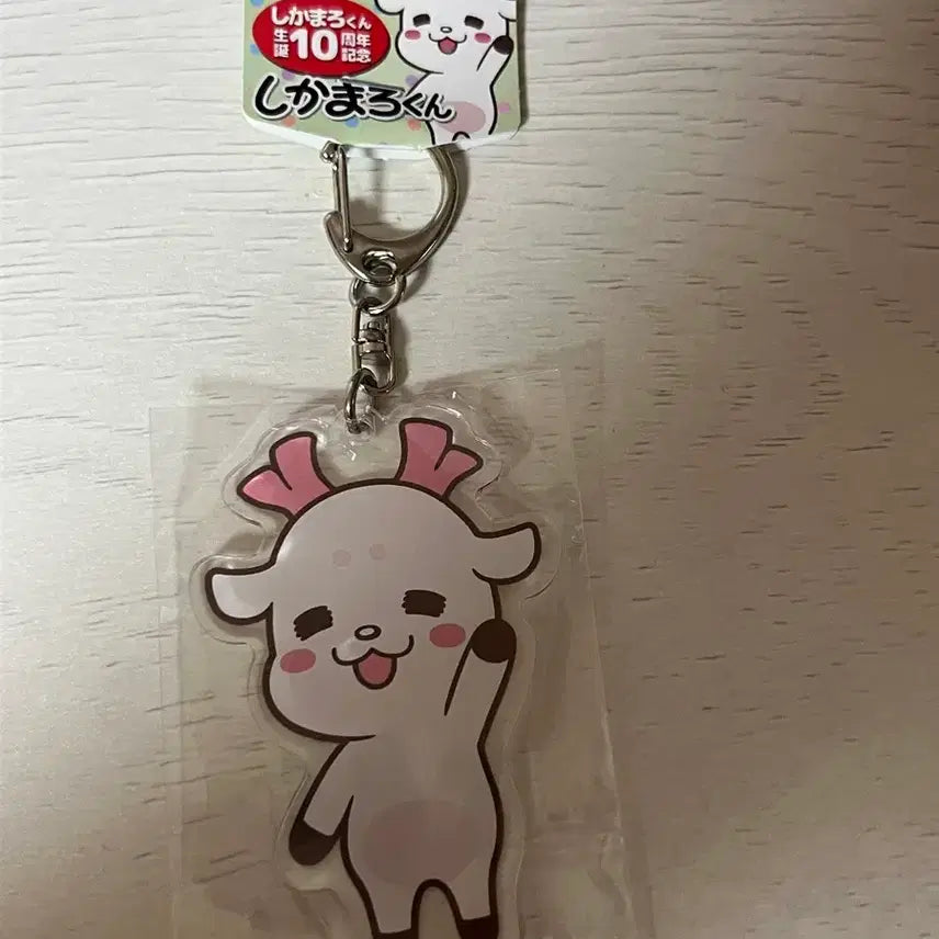 [BUNJANG] Shikamaru-kun 10th Anniversary Acrylic Keyring / 시카마루쿤 10주년 기념 아크릴 키링
