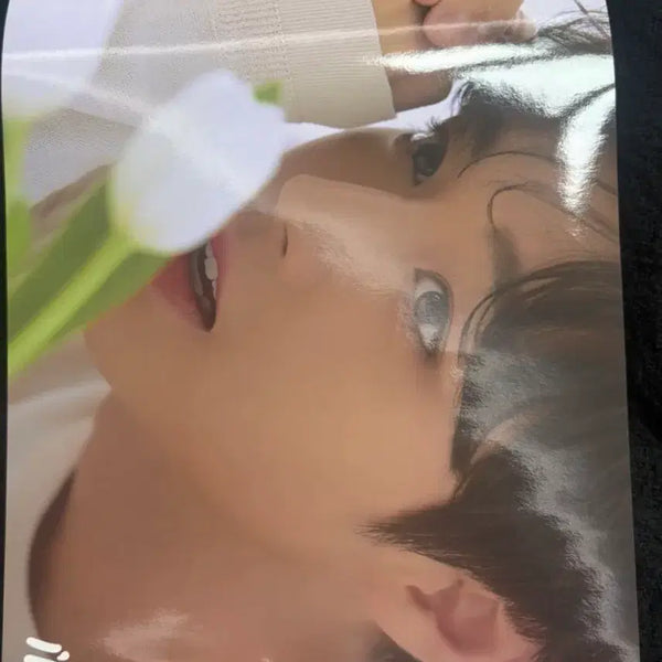 [BUNJANG] Park Jihoon "The King of the Land" Bromide Set (5 pcs) / 박지훈 브로마이드 일괄 5장(왕과사는남자)