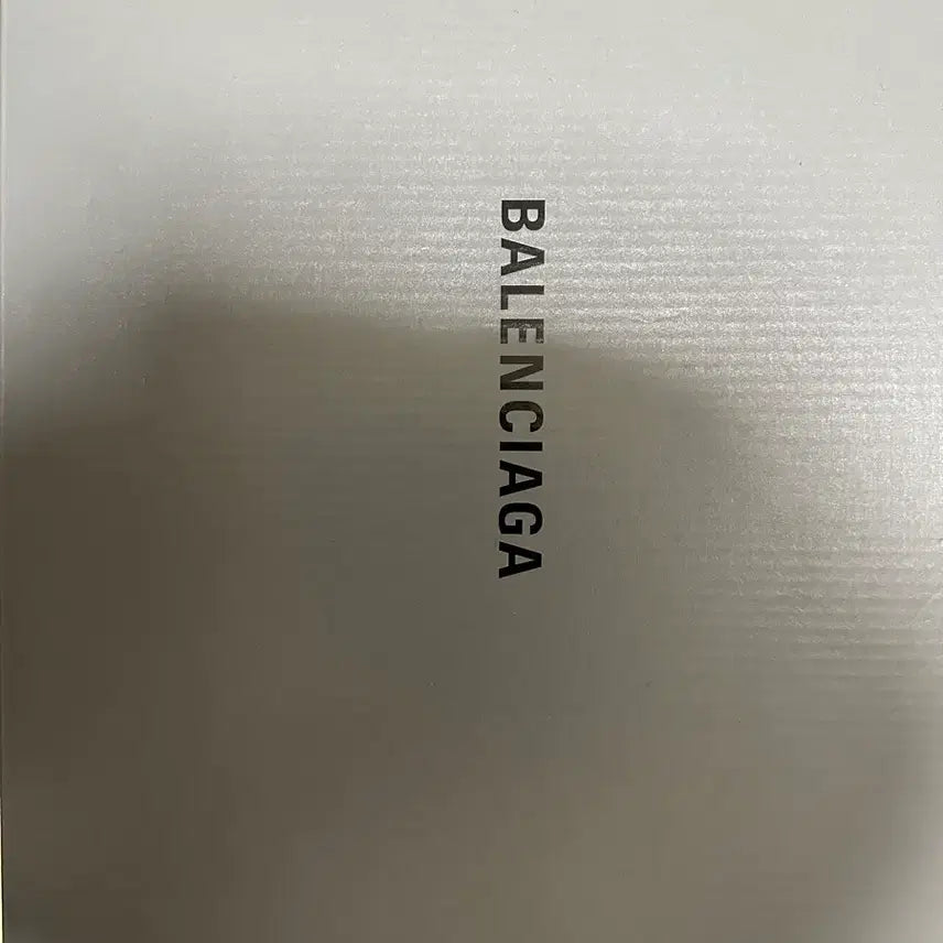 [BUNJANG] Balenciaga Runner White Size 40 / 발렌시아가 러너 40 사이즈판매