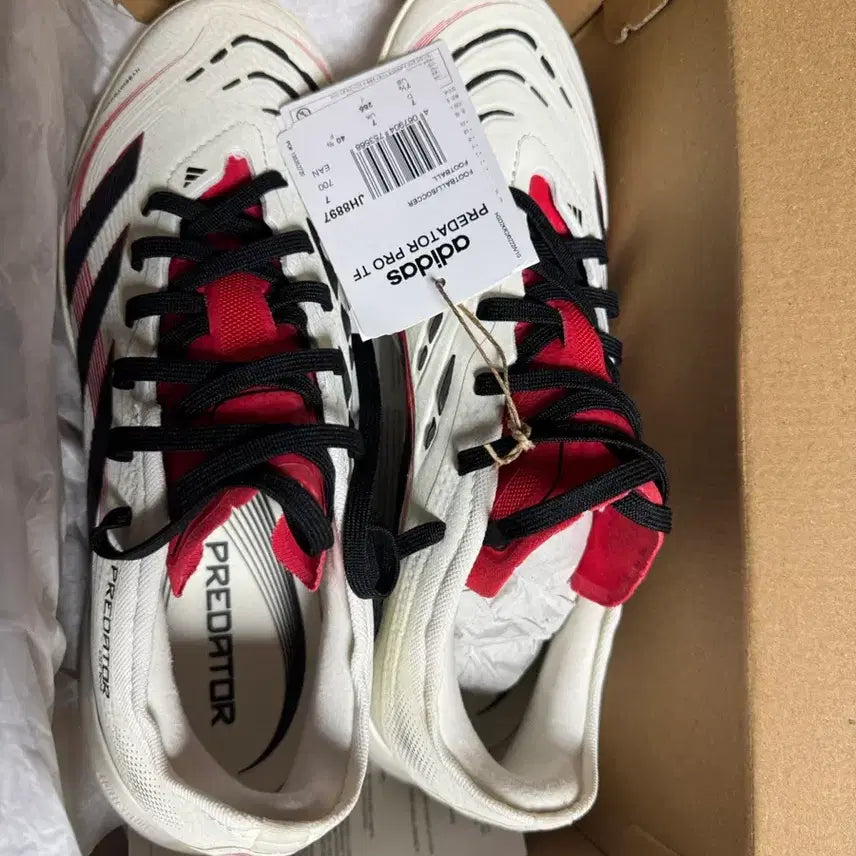[BUNJANG] Adidas Predator TF / [255]아디다스 프레데터 tf