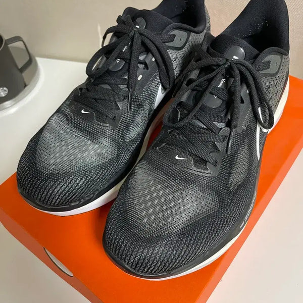[BUNJANG] Nike Vomero 17 / (275) 나이키 보메로 17