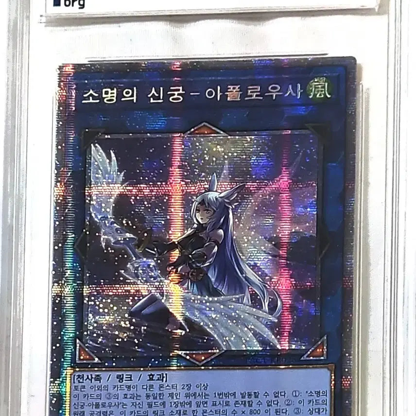 [BUNJANG] Yu-Gi-Oh! Archangel of Thorns - Apollousa New Illustration / 유희왕 소명의 신궁 아폴로우사 신일러 프싴 brg9