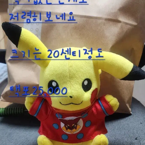 [BUNJANG] Rare Pikachu Plush / 희귀피카츄
