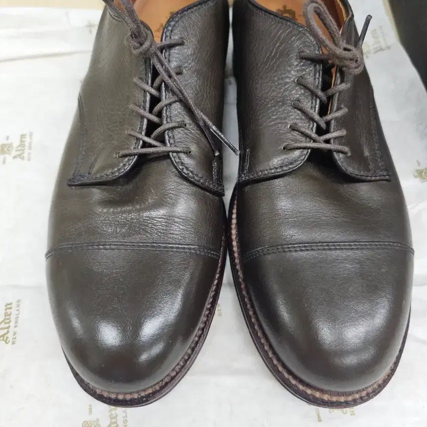 [BUNJANG] Alden 95721 Cap Toe Blucher 7D San Francisco Exclusive Calf Leather / 알든 95721 캡토 더비 7D (250~255/샌프란시스코 별주)