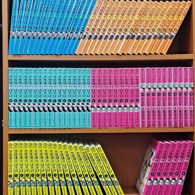 [BUNJANG] Opposite You and Me Complete Manga Set Volumes 1-8 (Sealed) / 정반대의 너와 나 1~8 미개봉 만화짱많아 안전프로상점매장