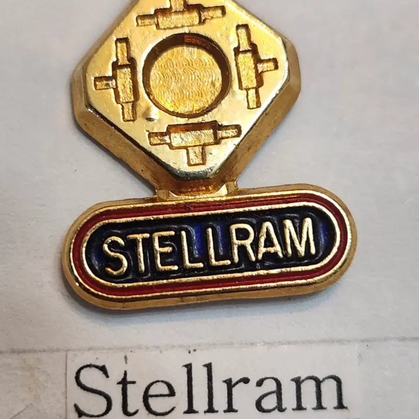[BUNJANG] Stellram Vintage Gold Badge / Stellram 빈티지 뱃지