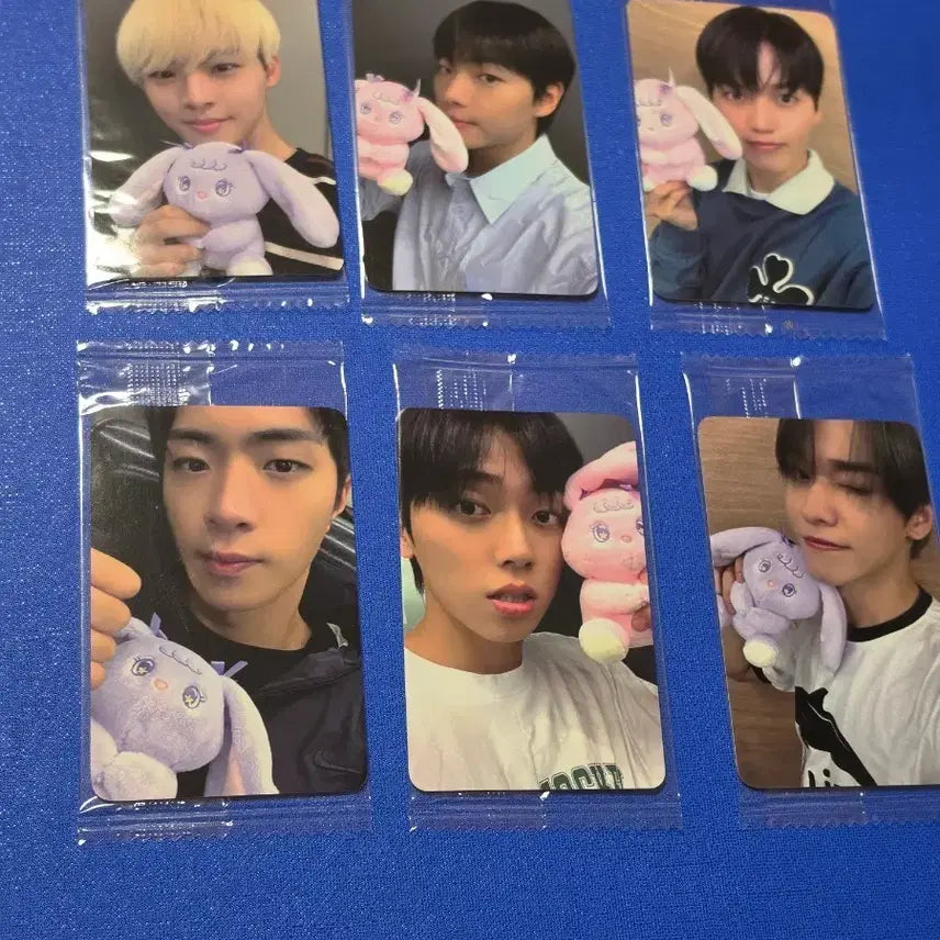 [BUNJANG] ONF Love Effect POB Bundle Set / 온앤오프 러브이펙트(바람이 붘다) 미공포 일괄