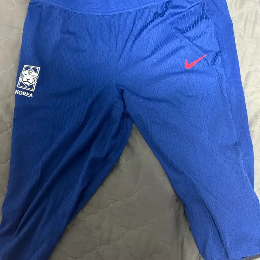 [BUNJANG] Nike South Korea National Team 24-26 7" ADV Pants XL / 24-26 나이키 대한민국 국대 adv 7부 팬츠 xl