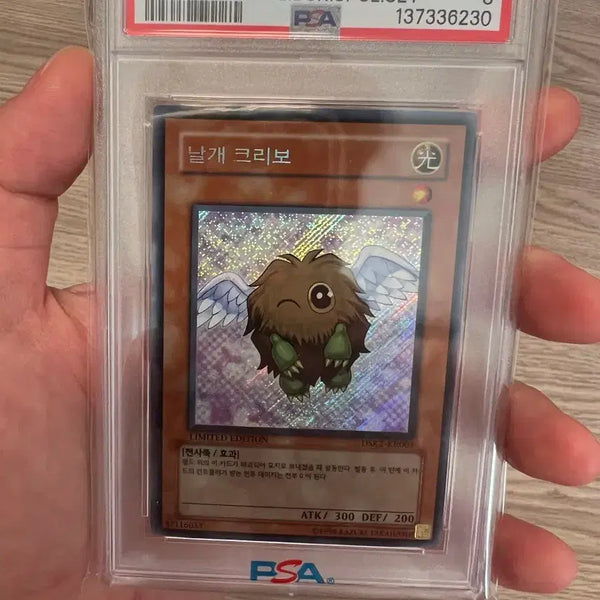 [BUNJANG] Yu-Gi-Oh! Winged Kuriboh PSA 8 / 유희왕 날개 크리보 PSA8 사선시크